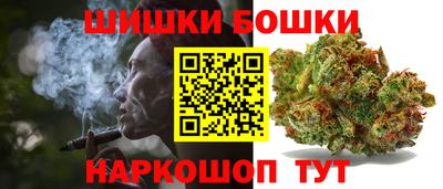 apvp Партизанск